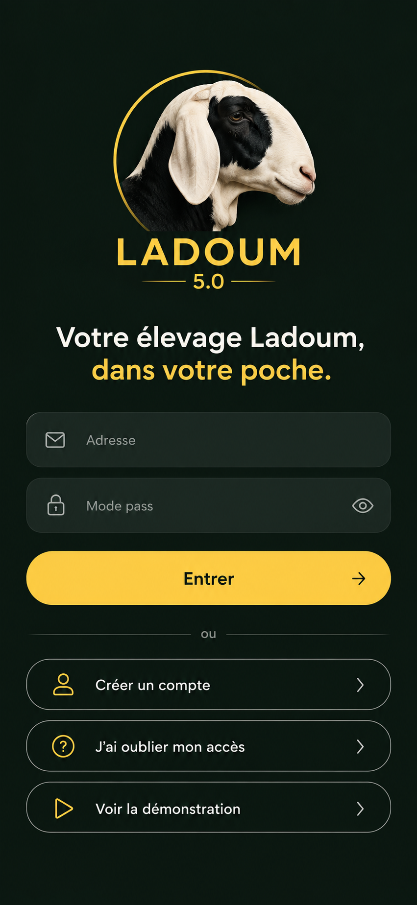 Ladoum 5.0